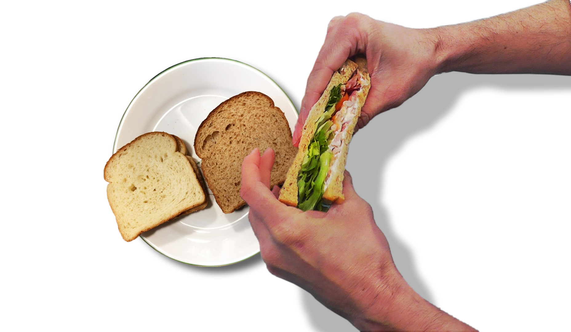 Texture analyser graphical results of a batch of bread slices under compression Texture analysis software calculates mouthfeel parameters from curves of physical measurements