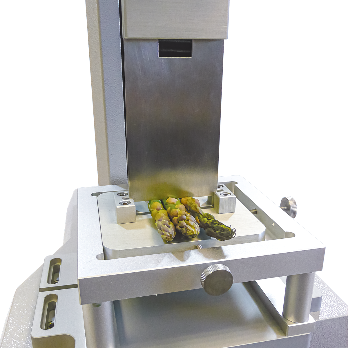 Shear test on asparagus