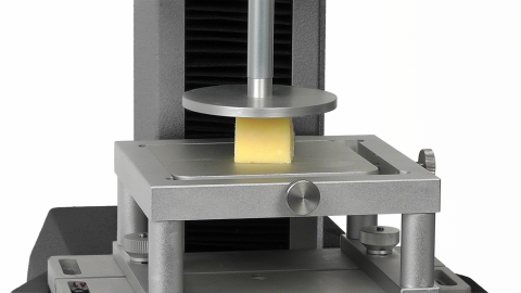 A hard cheese cube under a compression plate at the initial state before a springiness texture test
